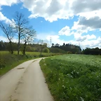 DSCN9294