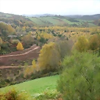 DSCN5890