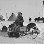 Tapi_Amundsen