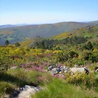 09-IMG_6508