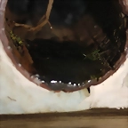 1724907887888