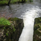 DSCN4179