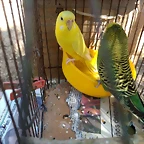 IMG_20171225_140225196
