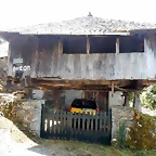 DSCN7011