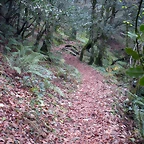 DSCN0766