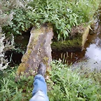 DSCN9332