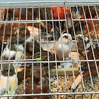 IMG_20170122_121226