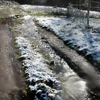 DSCN7476