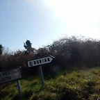 DSCN2800