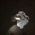 250720111110