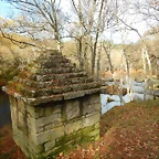 DSCN9384