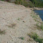 DSCN7547