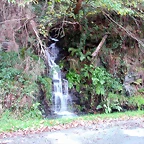 DSCN6327