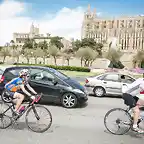 mallorca312-nuria catedral