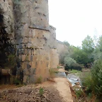 DSCN8061