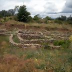 DSCN6144