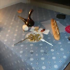 DSCN3295