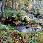 DSCN1308