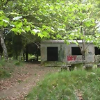 DSCN5339