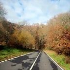 DSCN2294