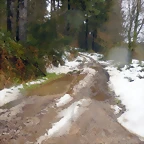 DSCN3041