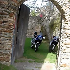 DSCN6417