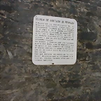 DSCN6544