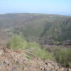 DSCN6524