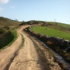 DSCN6433