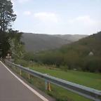 DSCN6404