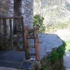 DSCN6534