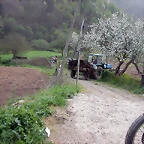 DSCN6407