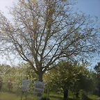 DSCN6513