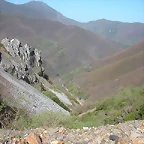 DSCN6529