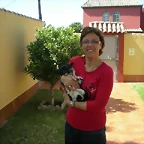 arroz 083