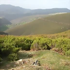 DSCN6438