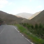 DSCN6422