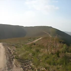 DSCN6450