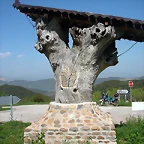 DSCN6571