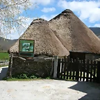 DSCN1679