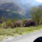 DSCN1626