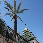 ESPACIO PARA LA FERIA 16-4-2016 (9)