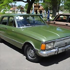gBEF60_falcon_verde