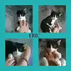 ERIC