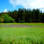 DSCN5180