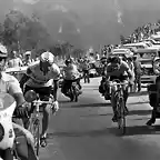 Tour-Merckx-Thevenet3