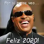 MEMESfELIZ2020-1