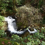 DSCN0506