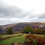 DSCN8366'4