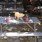 cerdo